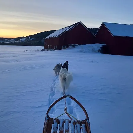 公寓 Gardsleilighet 韦尔达尔