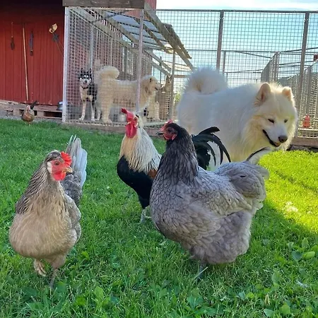 Gardsleilighet 公寓